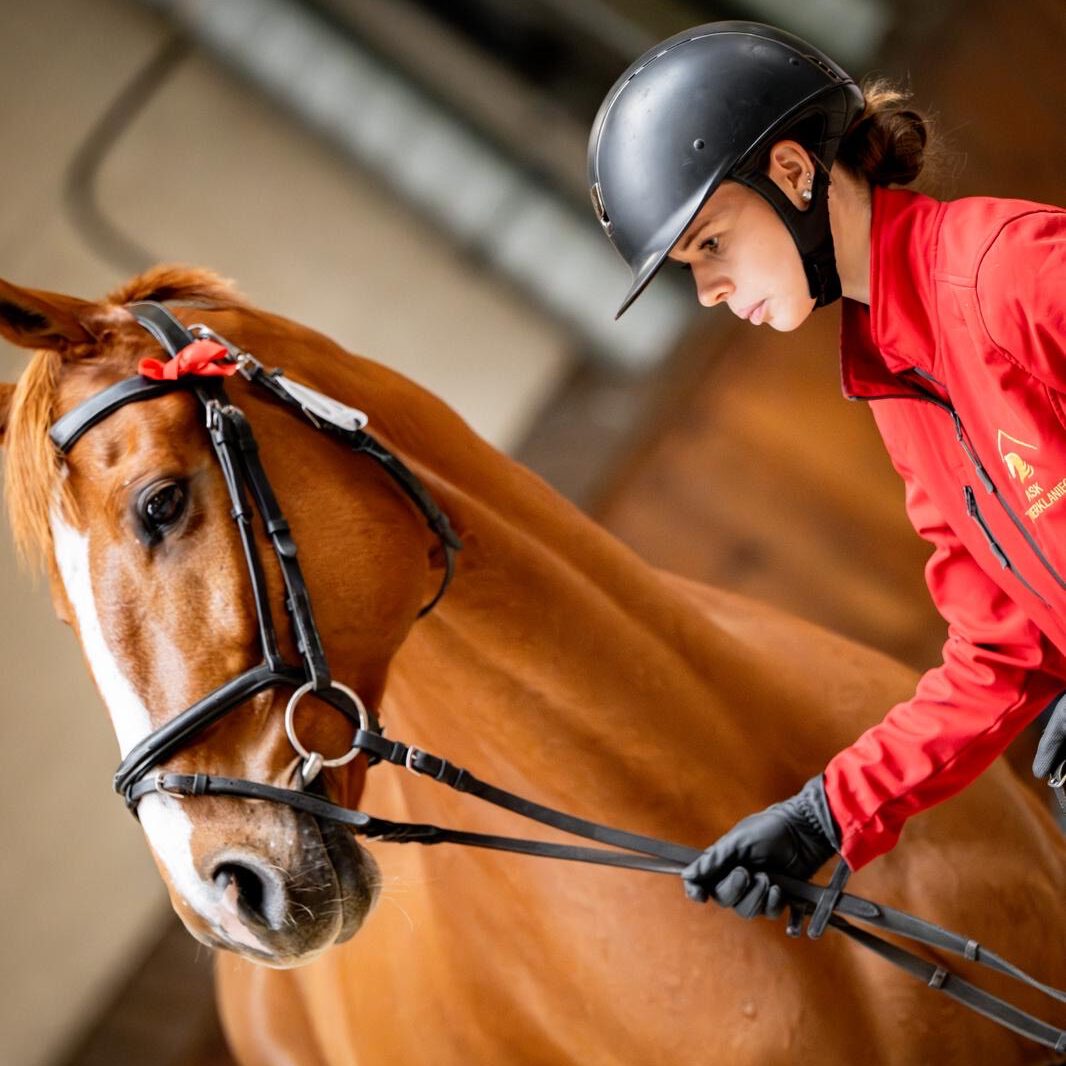 438178c9 de9b 4096 be14 d0d4c85bb748